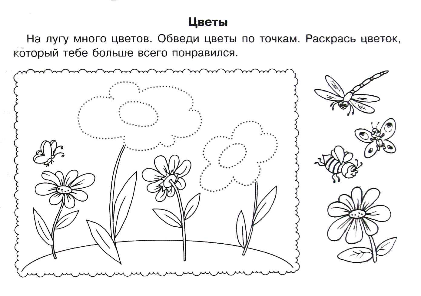 Лексические темы